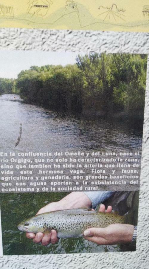 Llamas de la Ribera El Rinconcito De Llamas מראה חיצוני תמונה